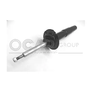 82480FR OCAP