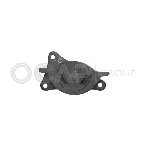 4204386 FIAT
