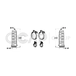 OCAP 0900419
