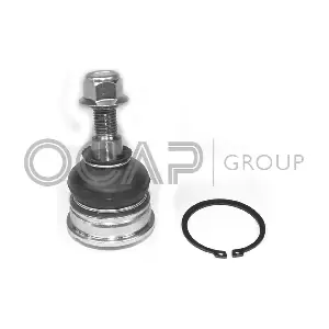0405746 OCAP