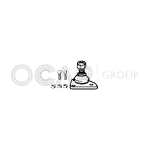 0490015 OCAP