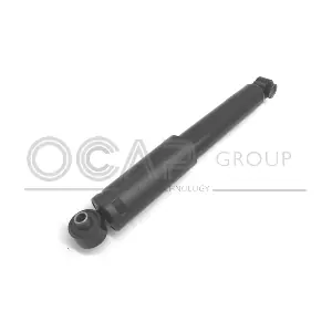 82079RU OCAP