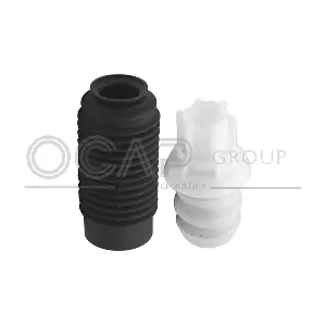 8500011 OCAP