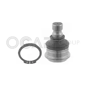 0404465 OCAP