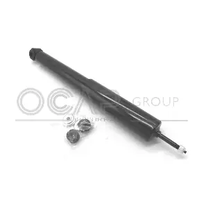 82289RU OCAP