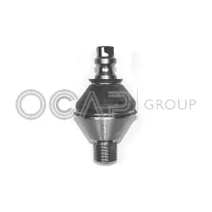 0404303 OCAP