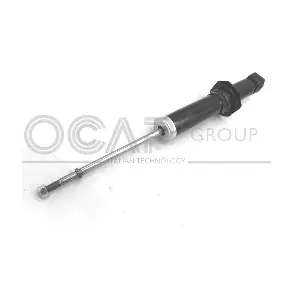 82246RU OCAP