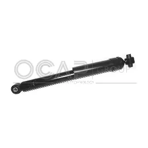 82558RU OCAP