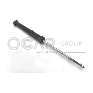 OCAP 82486RU