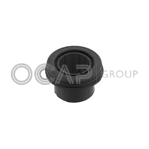 1216335 OCAP