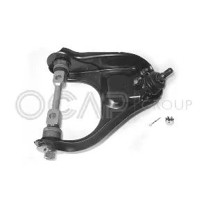 301019 OPEL