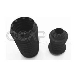 8500030 OCAP