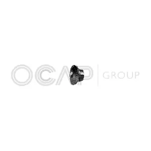 1215212 OCAP
