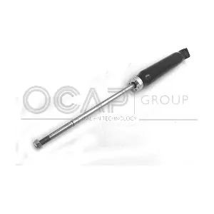 82310RU OCAP