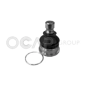 0402659 OCAP