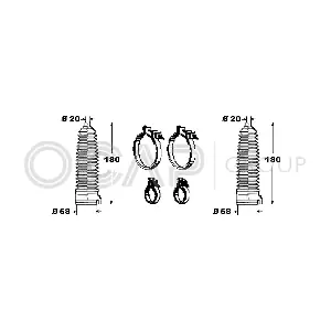0901856 OCAP