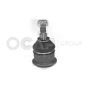0402038 OCAP