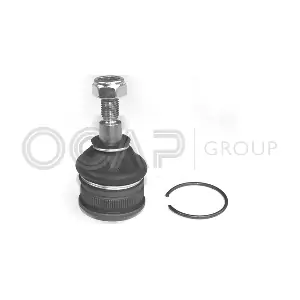 OCAP 0400405