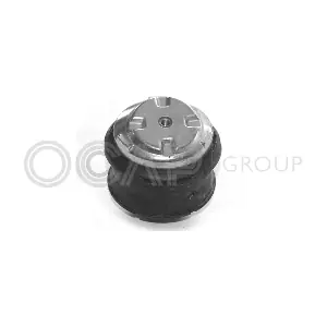 1225285 OCAP