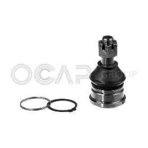 0404399 OCAP
