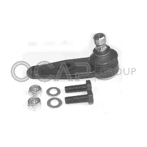 0498506 OCAP