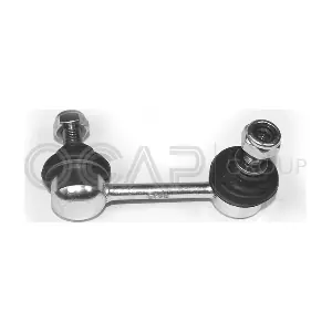 0598077 OCAP