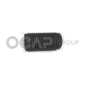 1211087 OCAP