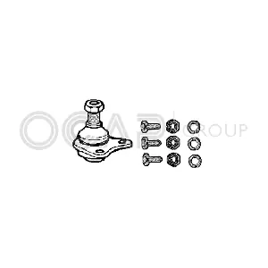 0401450-K OCAP
