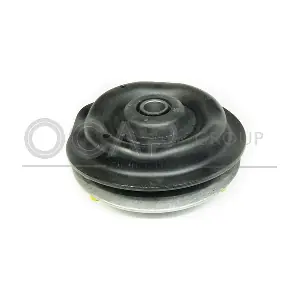 8400458 OCAP