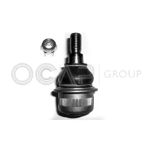 0403887 OCAP