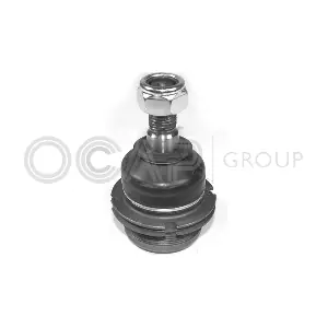 0400840 OCAP