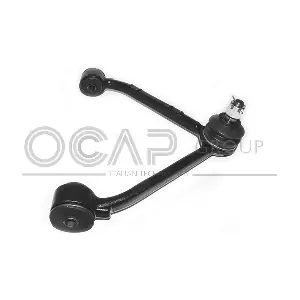 0398065 OCAP