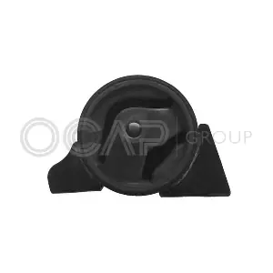 1226474 OCAP