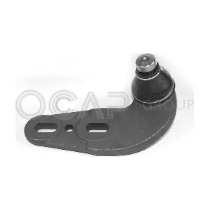0490451 OCAP