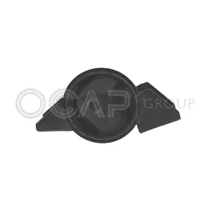 1226472 OCAP