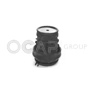 OCAP 1225500