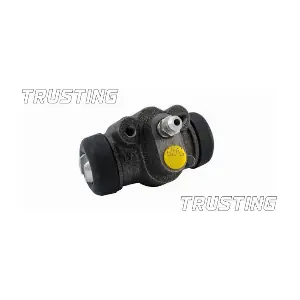 TRUSTING CF303