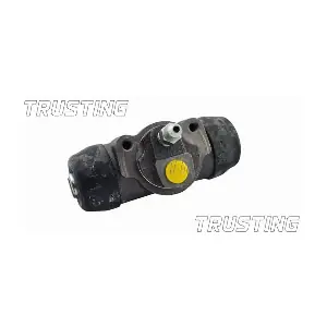 CF557 TRUSTING