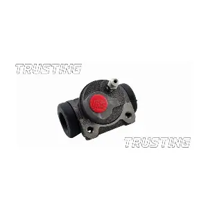 TRUSTING CF065
