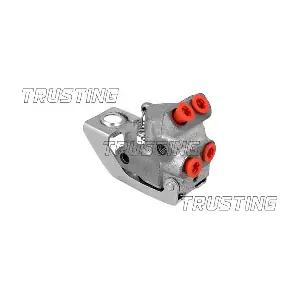 TRUSTING CT036