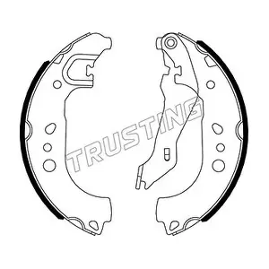 TRUSTING 106.220