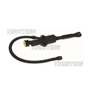 PZ266 TRUSTING