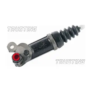 CZ083 TRUSTING