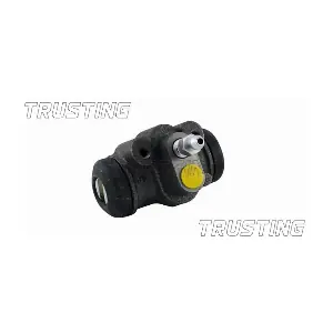 CF555 TRUSTING
