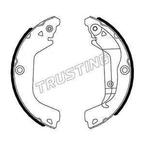 027009 TRUSTING