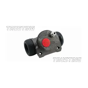 TRUSTING CF061