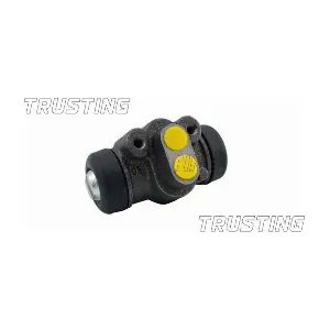 CF513 TRUSTING