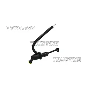 PZ295 TRUSTING