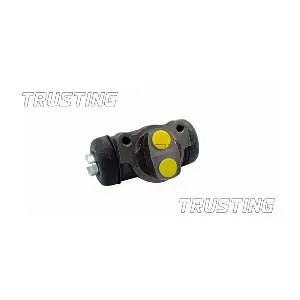 TRUSTING CF455