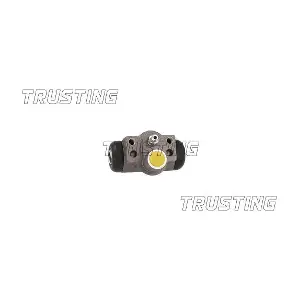 CF980 TRUSTING
